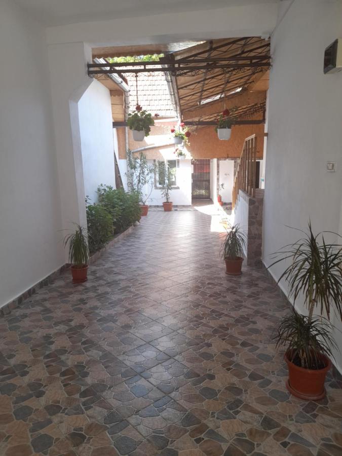 Casa Valea Morilor Guest House Eftimie Murgu Bagian luar foto