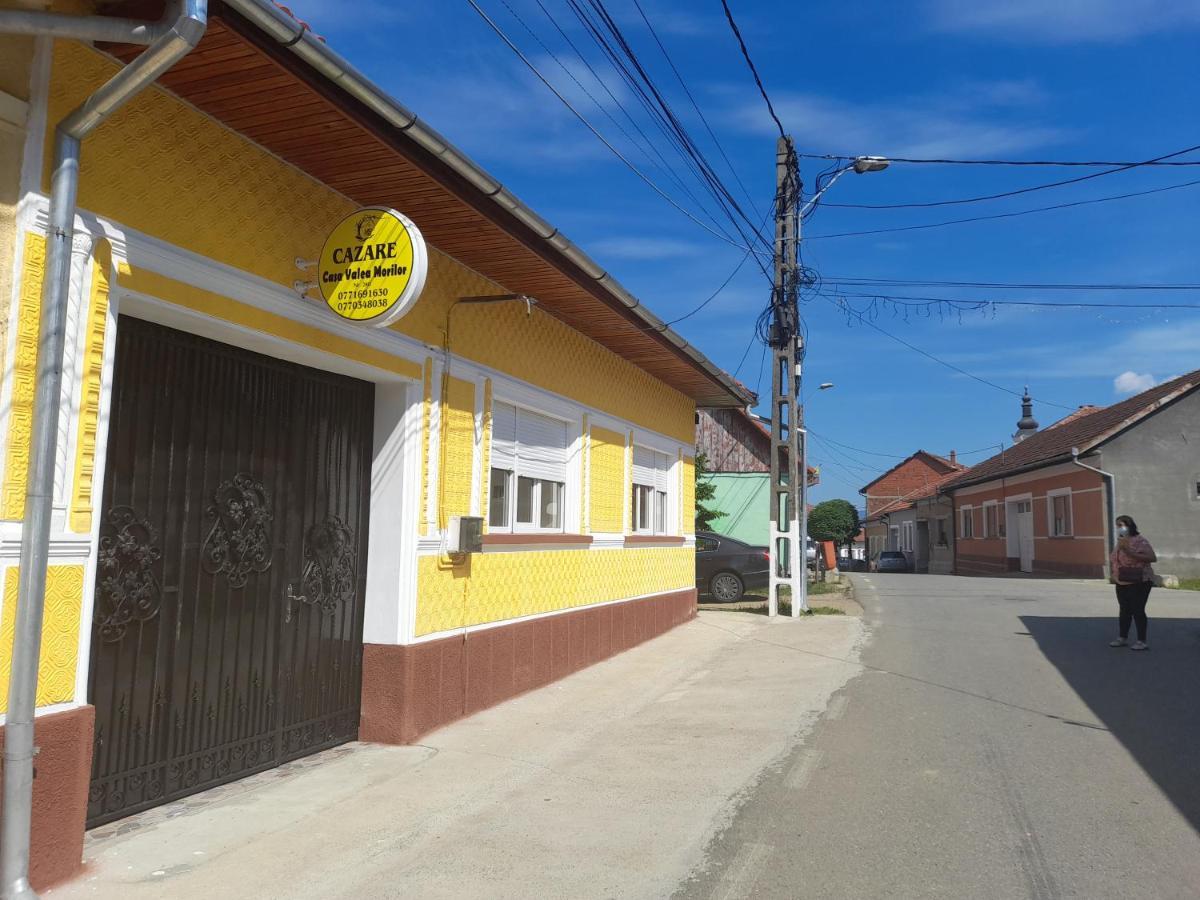 Casa Valea Morilor Guest House Eftimie Murgu Bagian luar foto