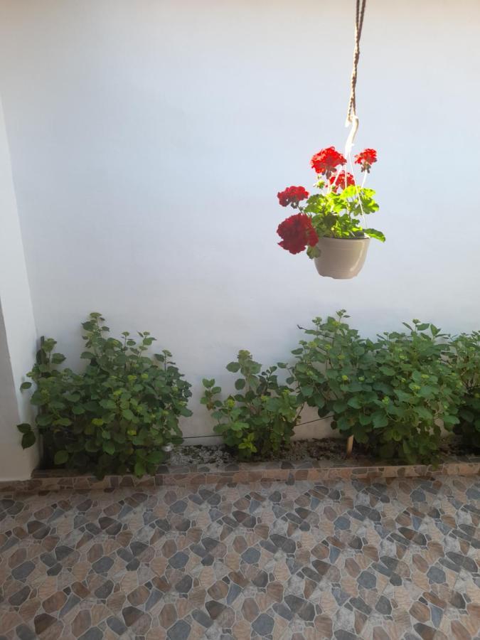 Casa Valea Morilor Guest House Eftimie Murgu Bagian luar foto