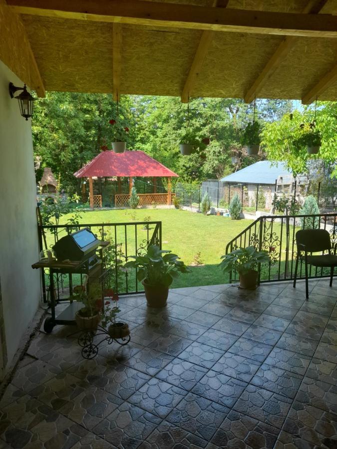 Casa Valea Morilor Guest House Eftimie Murgu Bagian luar foto