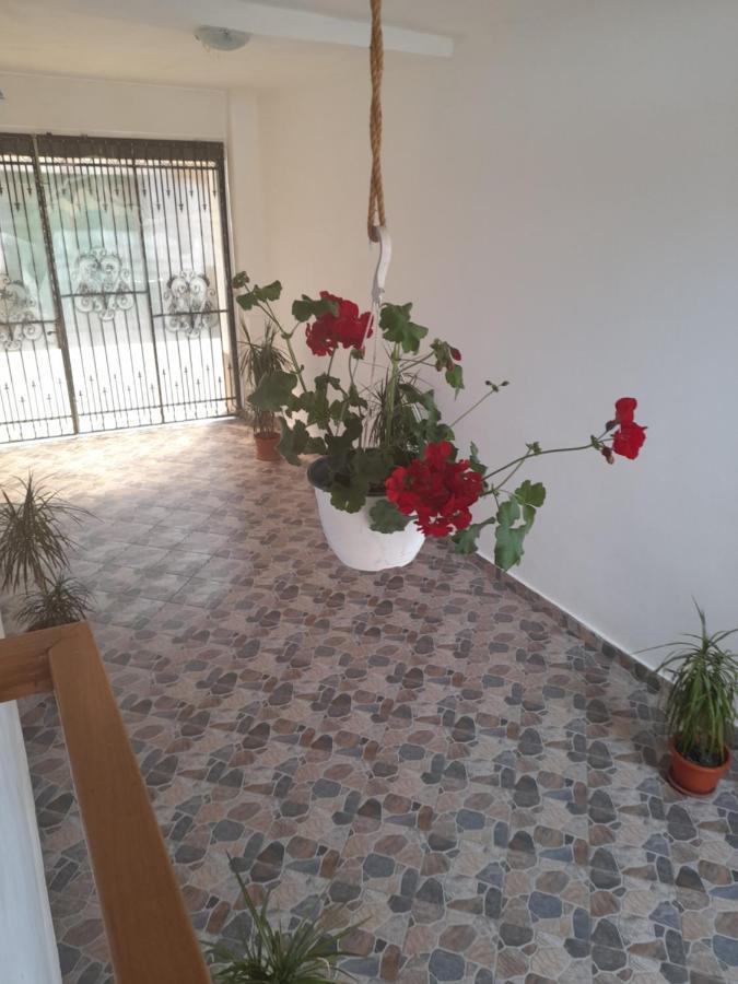 Casa Valea Morilor Guest House Eftimie Murgu Bagian luar foto