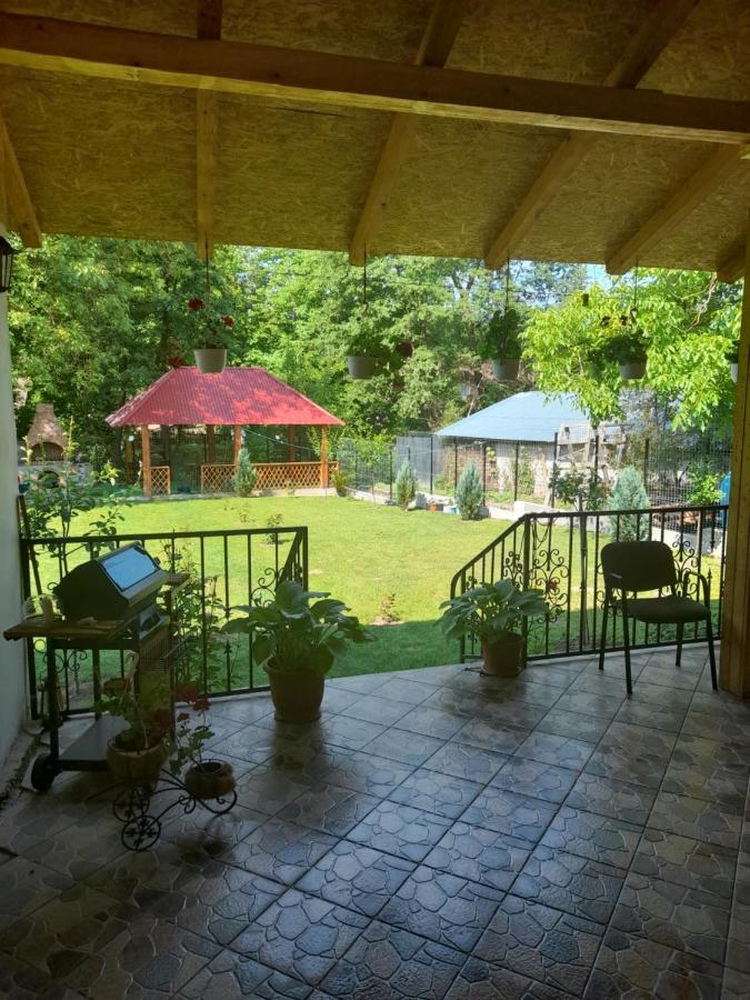 Casa Valea Morilor Guest House Eftimie Murgu Bagian luar foto