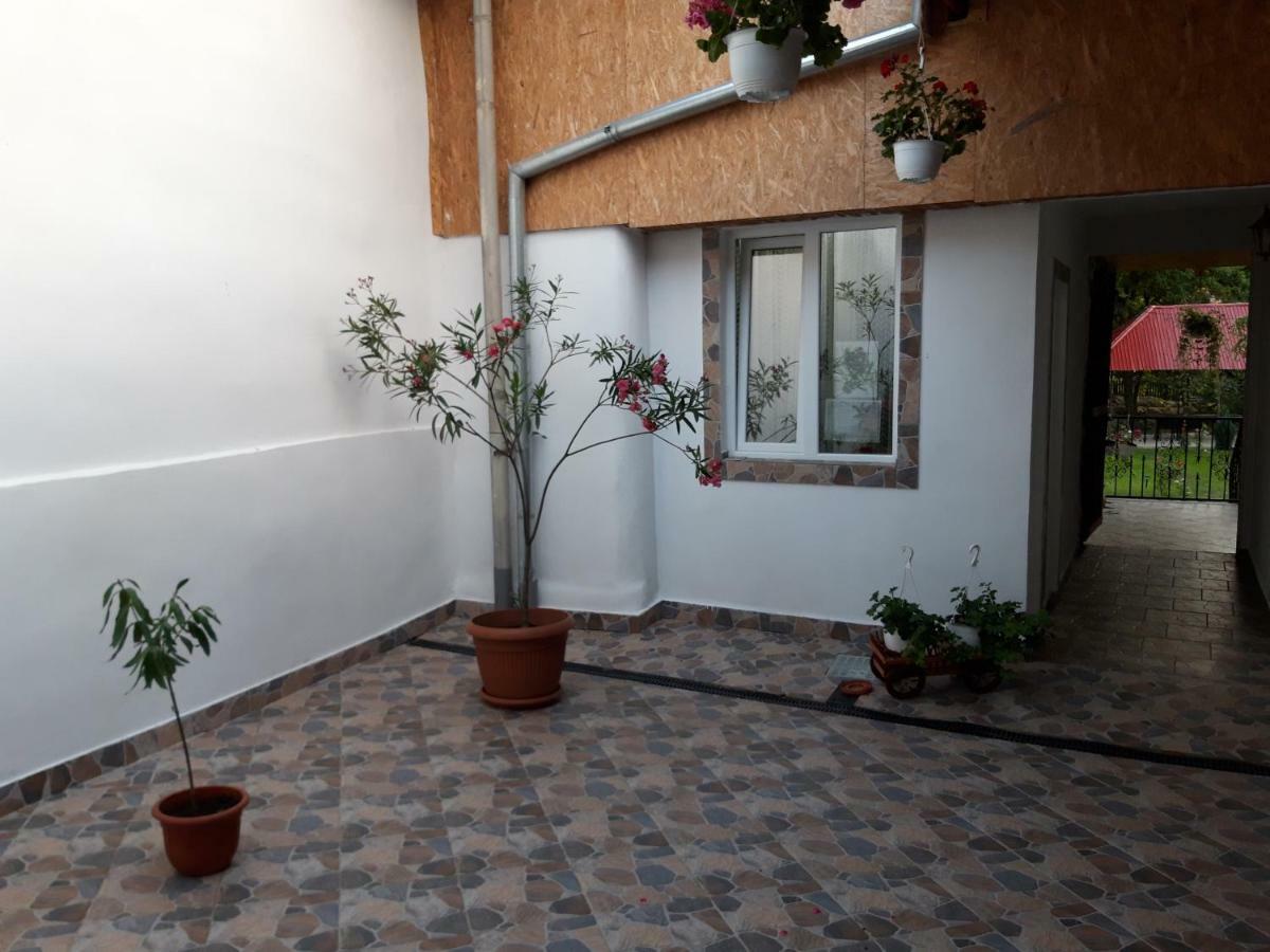 Casa Valea Morilor Guest House Eftimie Murgu Bagian luar foto