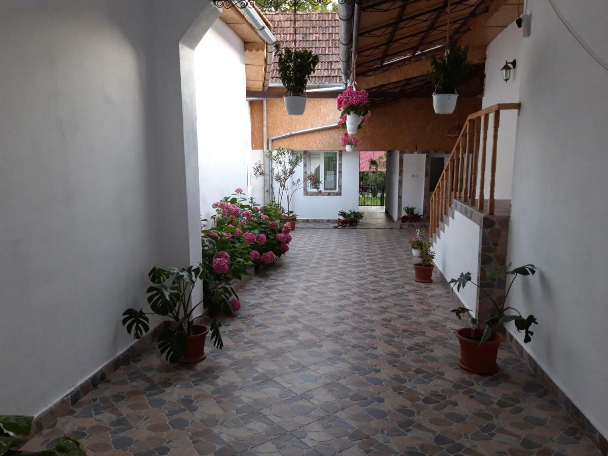 Casa Valea Morilor Guest House Eftimie Murgu Bagian luar foto