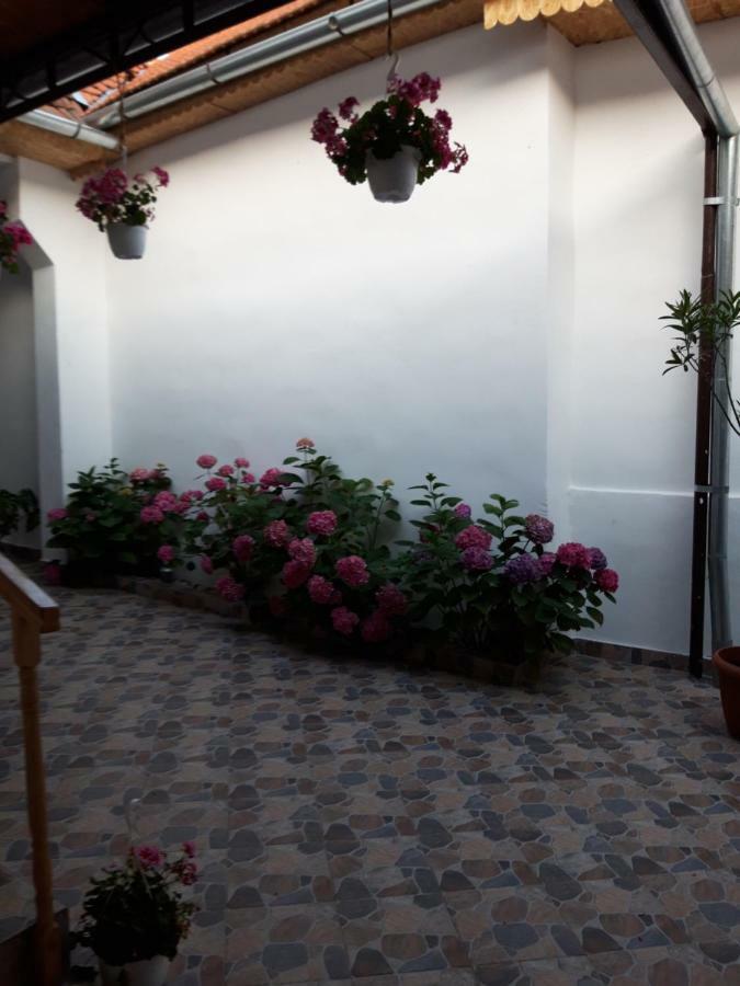 Casa Valea Morilor Guest House Eftimie Murgu Bagian luar foto